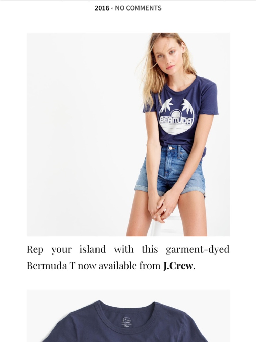 J. Crew Navy Blue/White Bermuda Palm Graphic Tee | Size Small